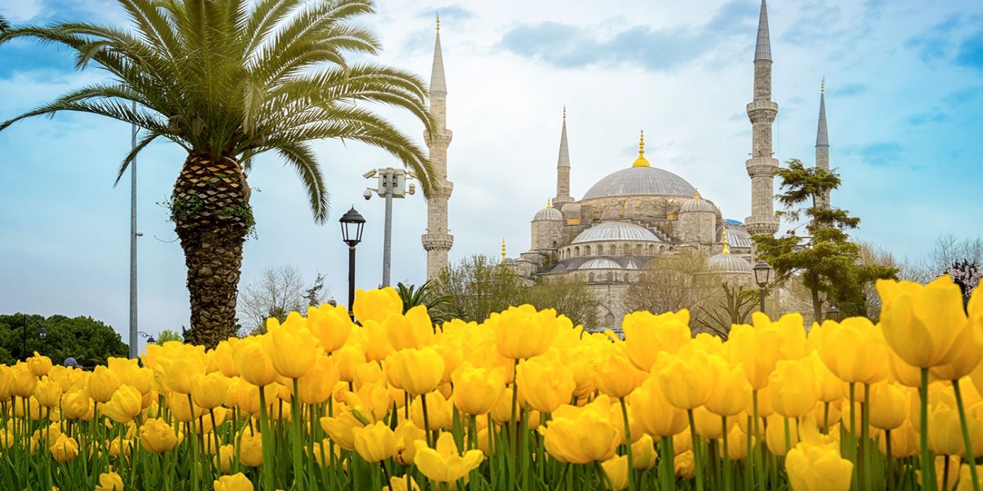 Events and Festivals in Sultanahmet: Experience City Culture